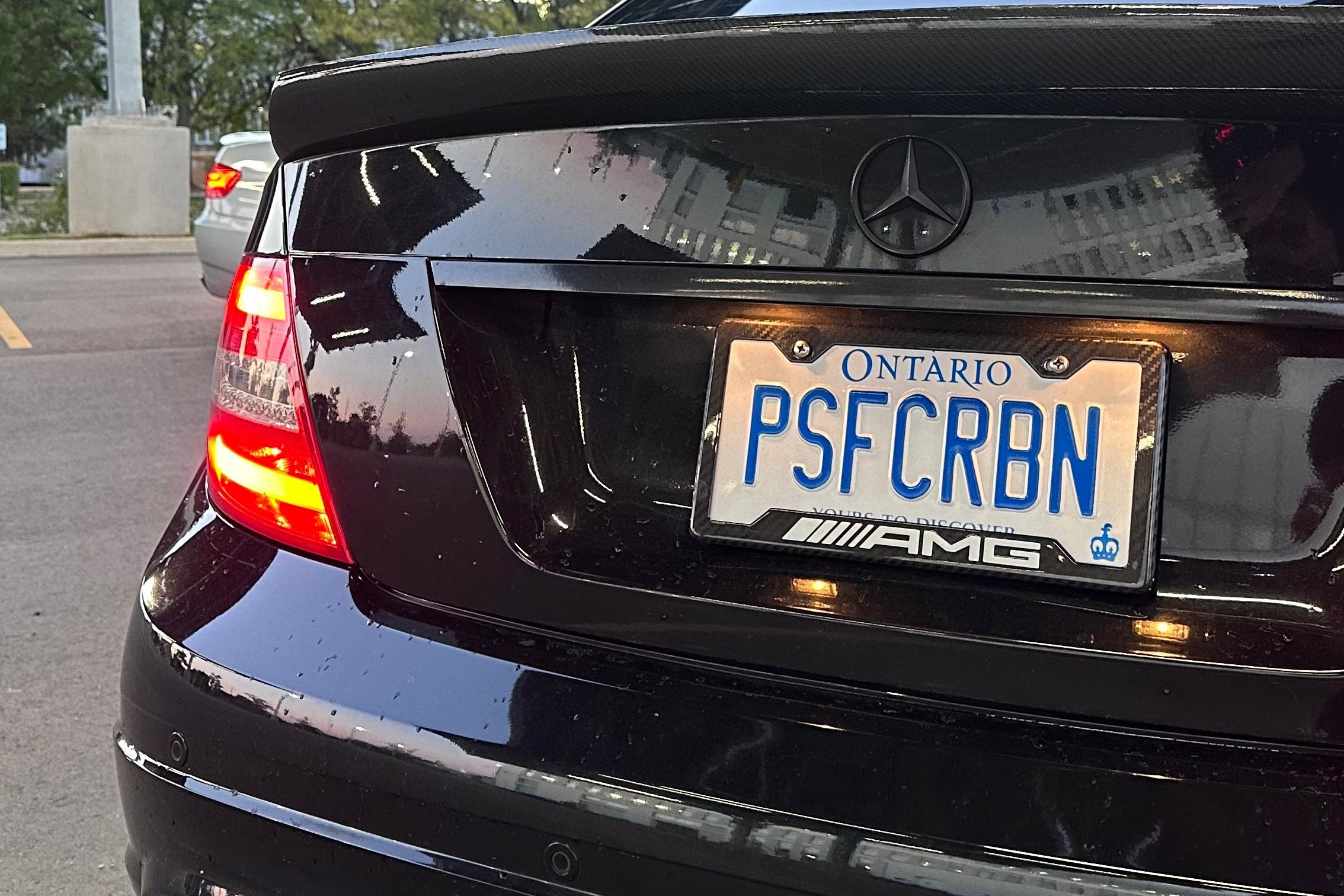 AMG White Carbon Fiber Plate Frame