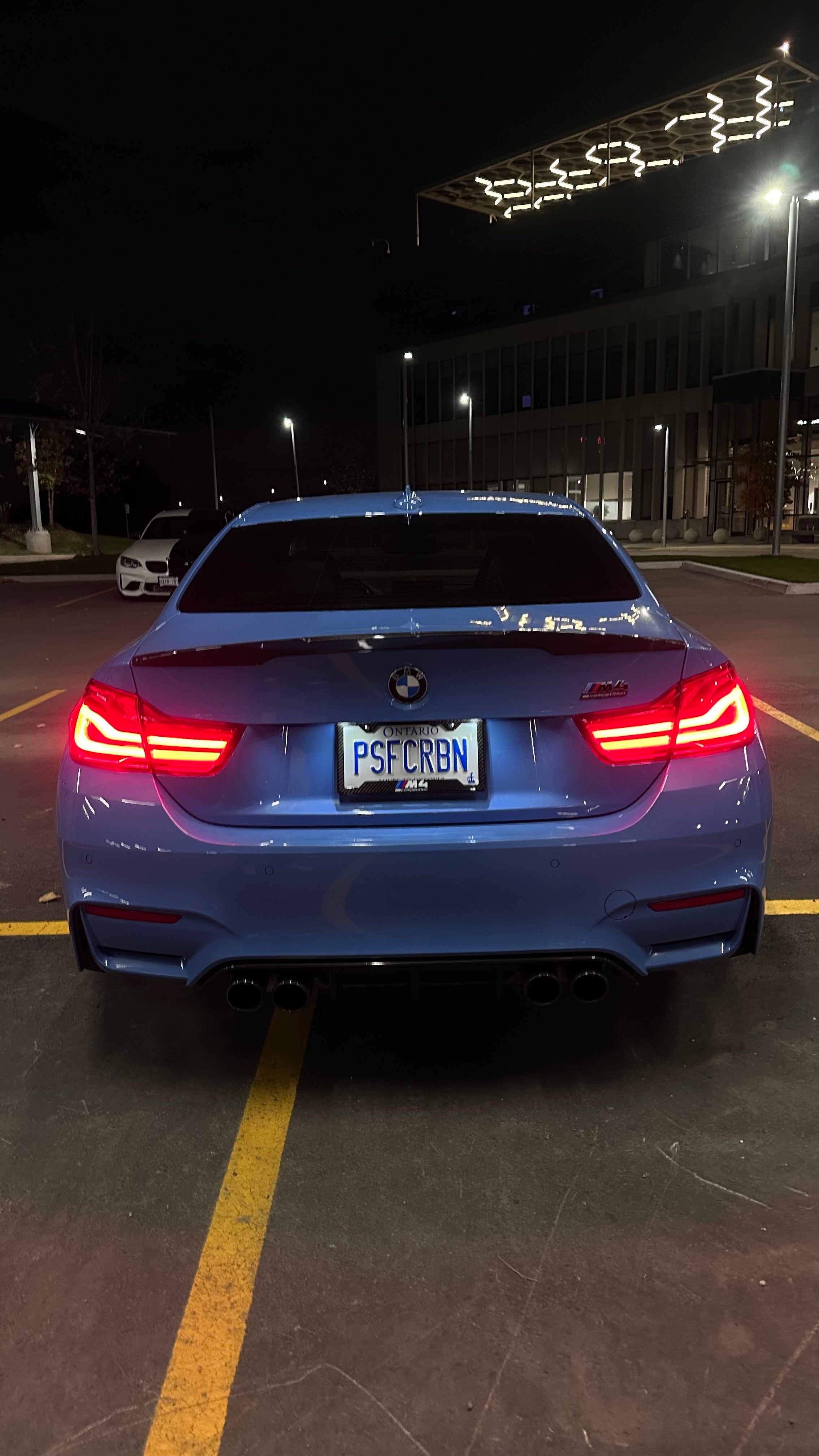 M4 Competition Carbon Fiber Plate Frame