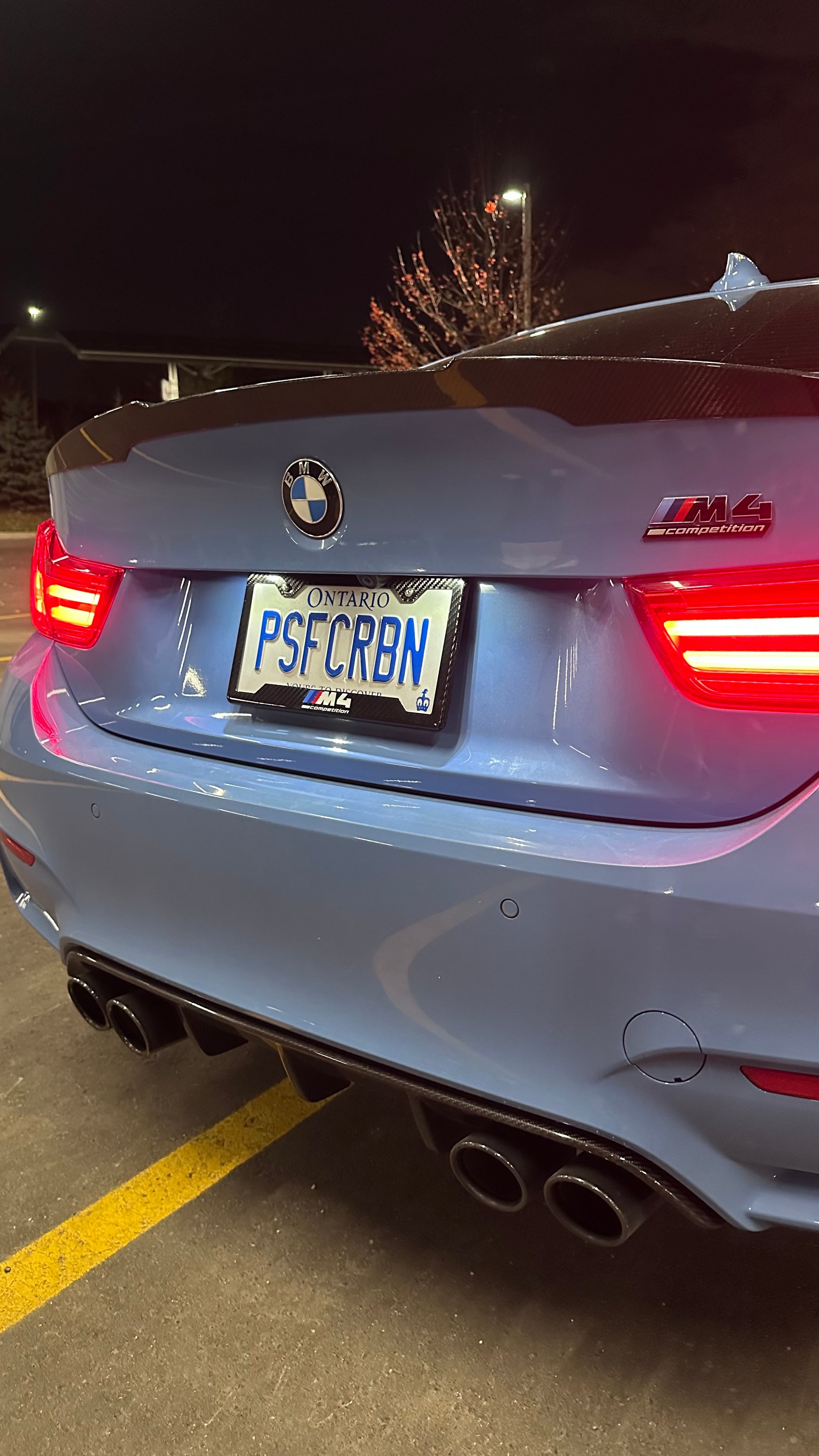 M4 Competition Carbon Fiber Plate Frame