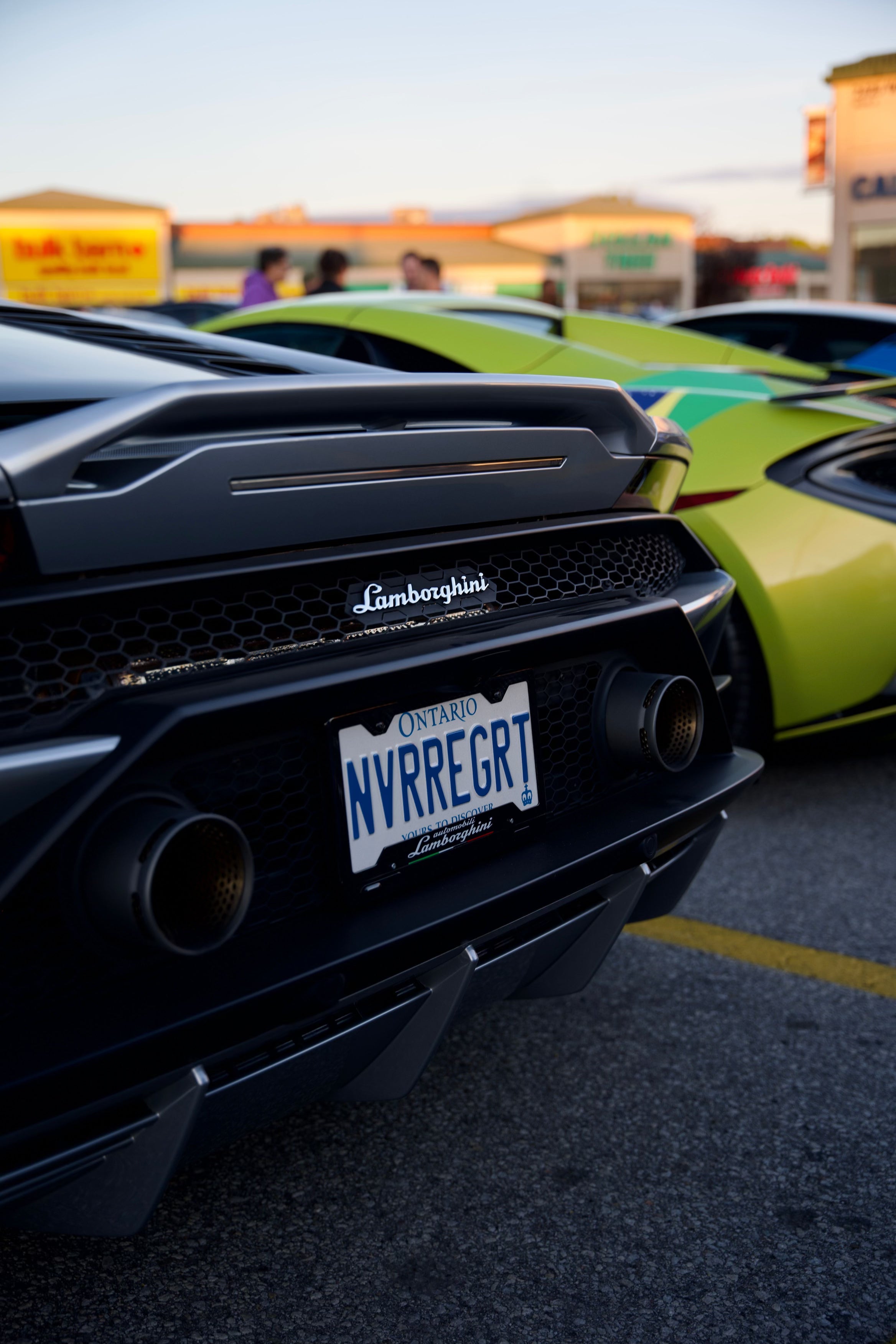 Lamborghini Carbon Fiber Plate Frame