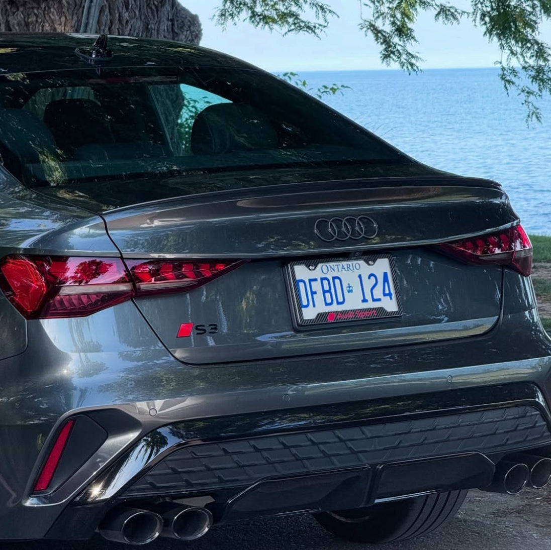 Audi Sport Carbon Fiber License Plate Frame