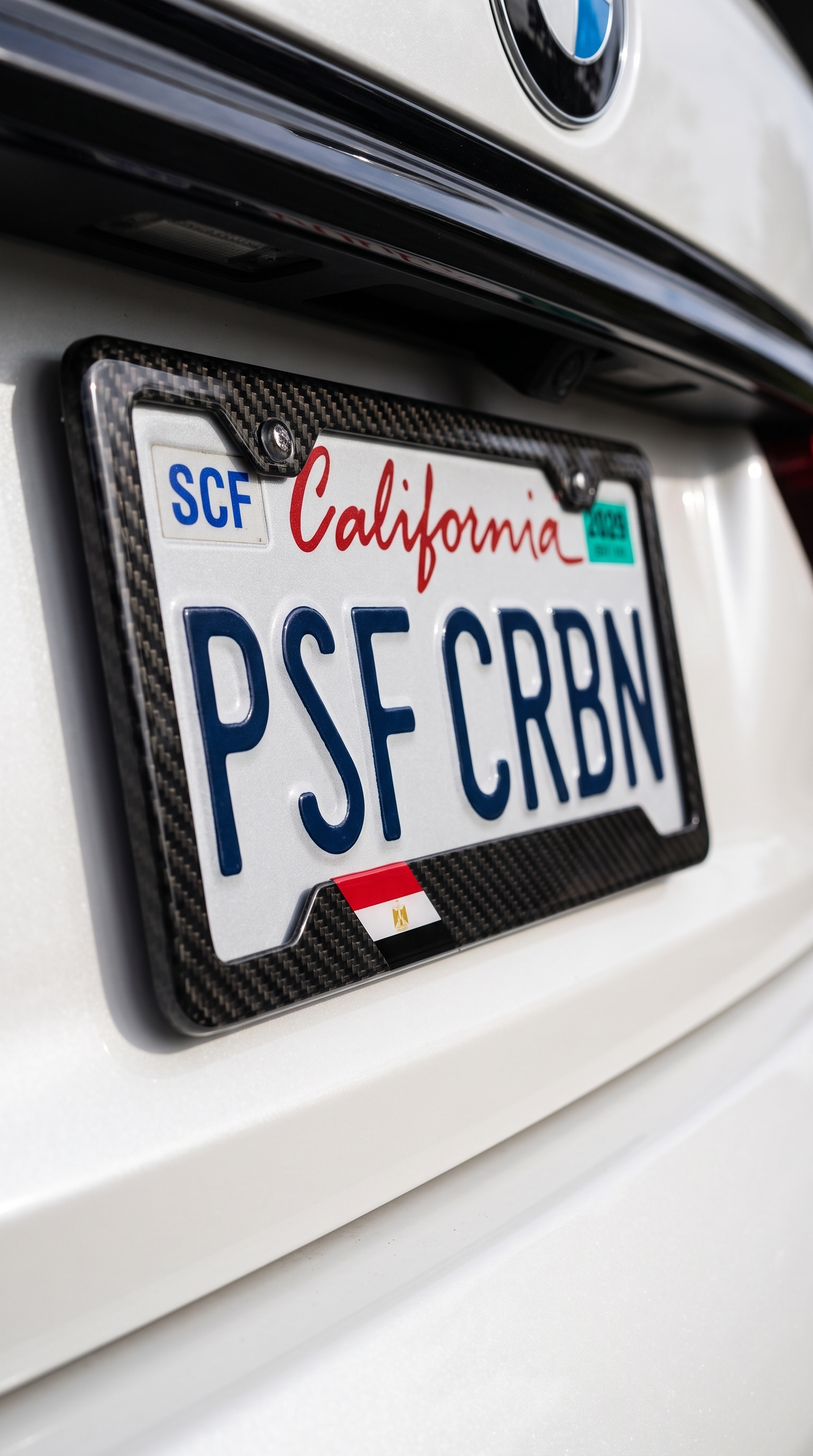 Puerto Rico carbon fiber plate frame close-up