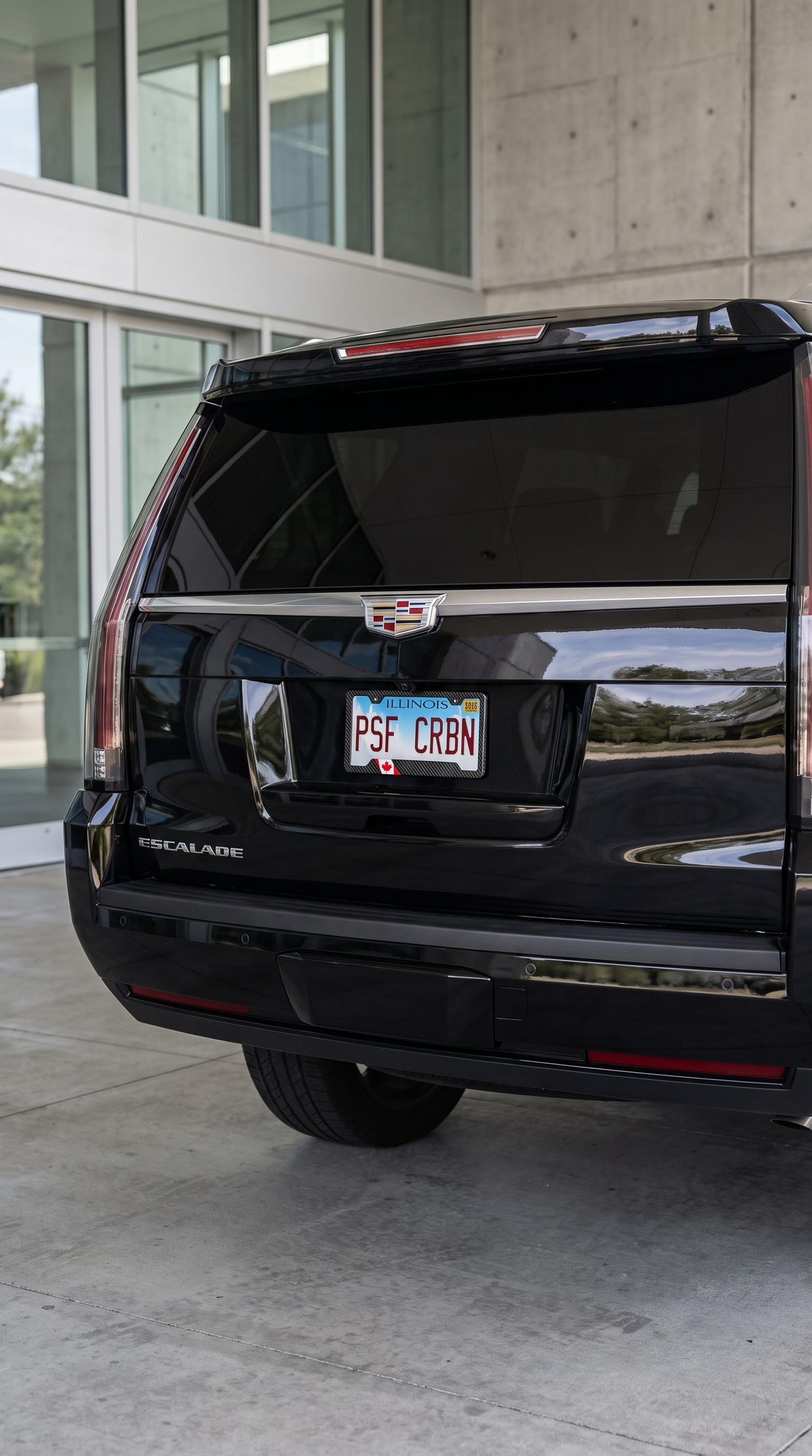 Puerto Rico carbon fiber plate frame close-up
