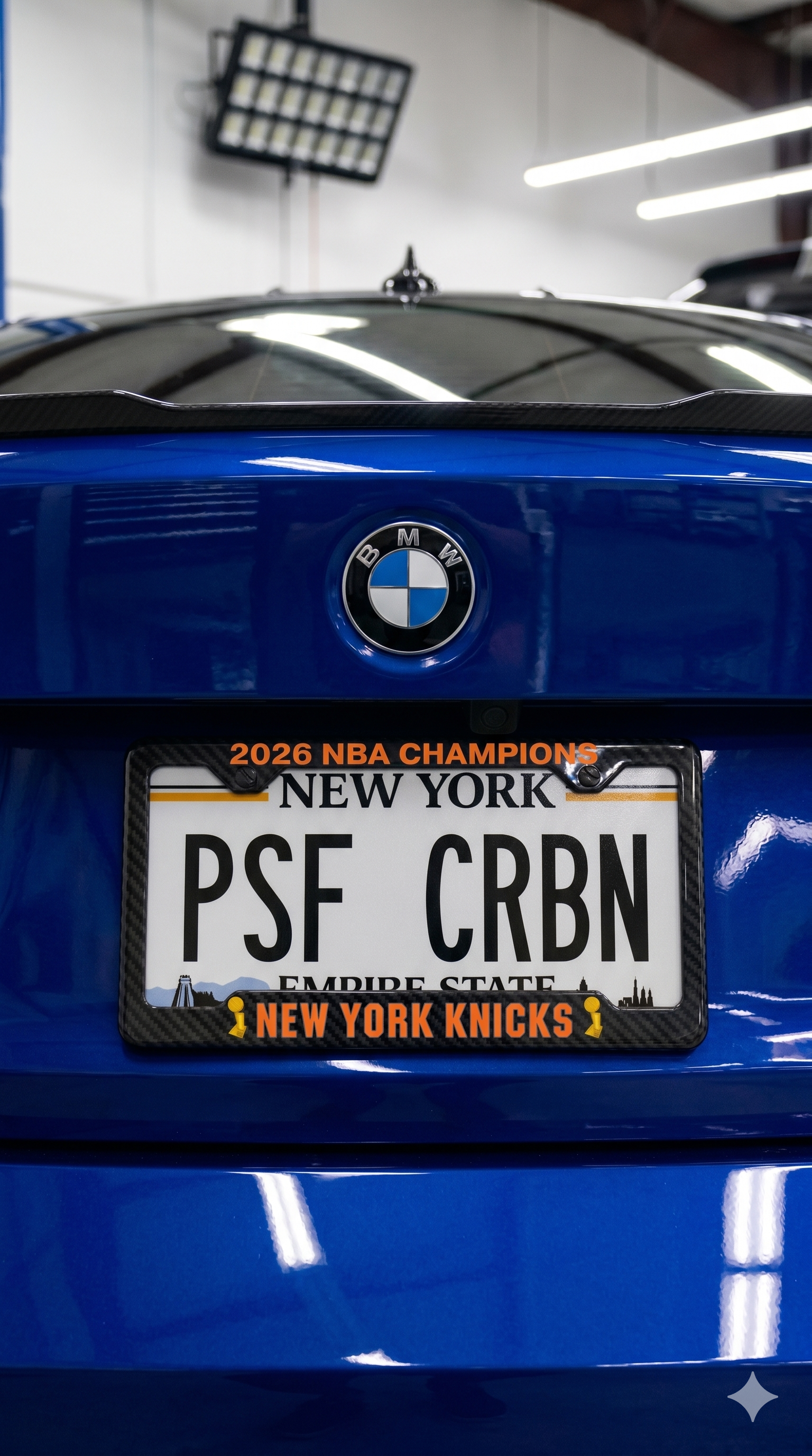 Knicks 2026 Champions Carbon Plate Frame
