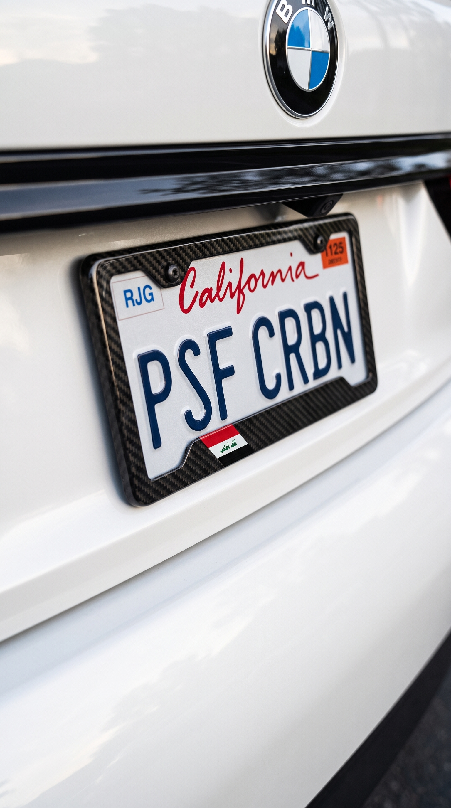 Puerto Rico carbon fiber plate frame close-up