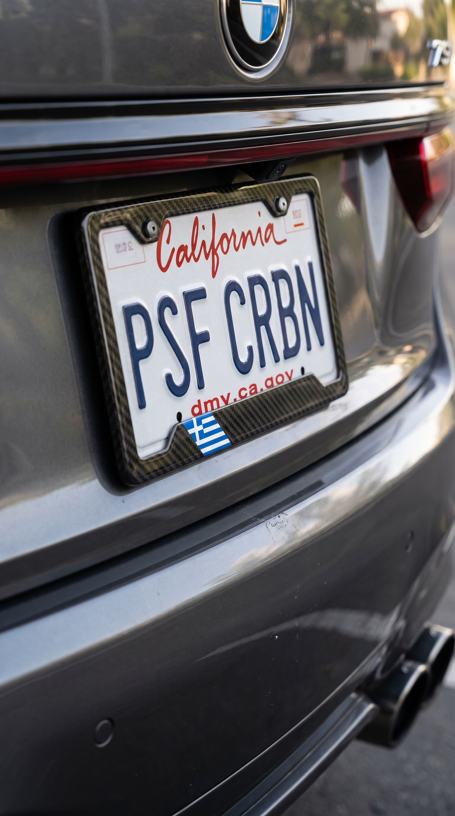 Puerto Rico carbon fiber plate frame close-up