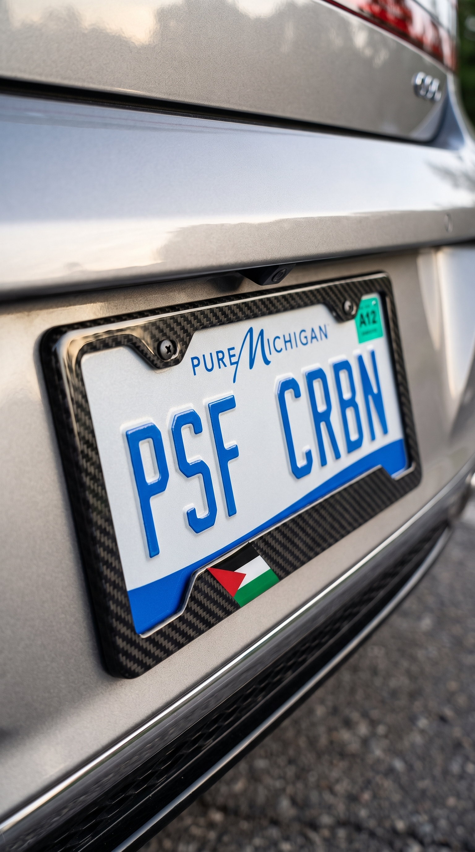 Palestine flag carbon fiber plate frame on metallic silver Genesis G90