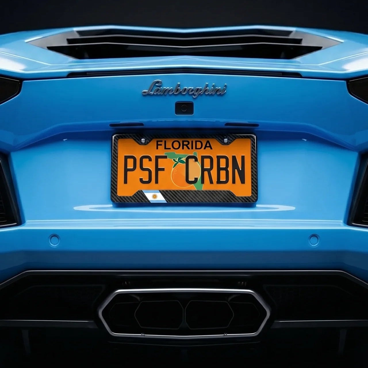 Argentina Flag Carbon Fiber License Plate Frame