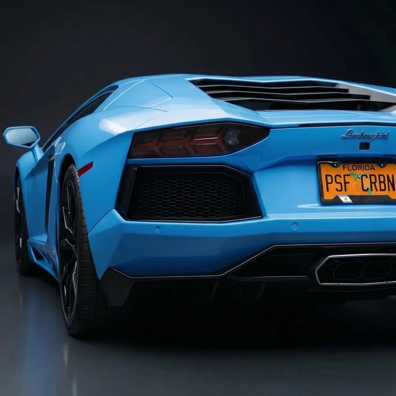 Argentina Flag Carbon Fiber License Plate Frame